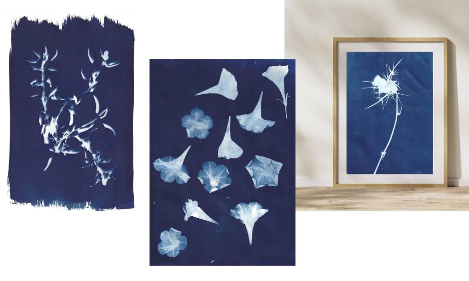 Hunting for Beauty: A Cyanotype Guide of the Flora of the Greek Islands